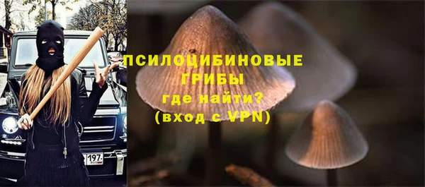 сатива Елизово