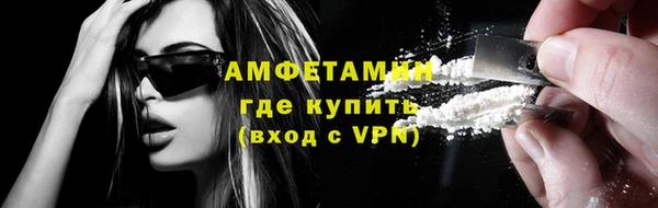 сатива Елизово