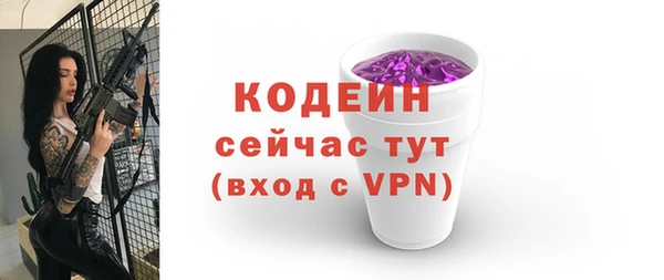 крисы Елабуга