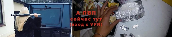 сатива Елизово