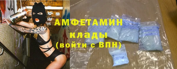 крисы Елабуга