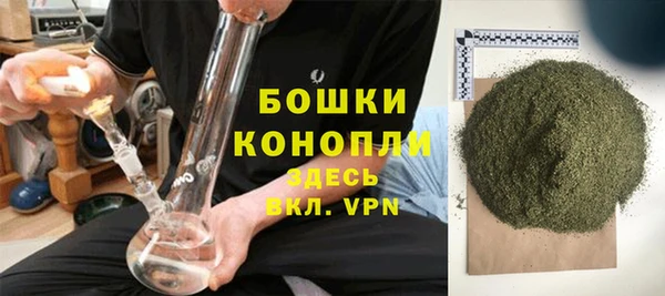 сатива Елизово