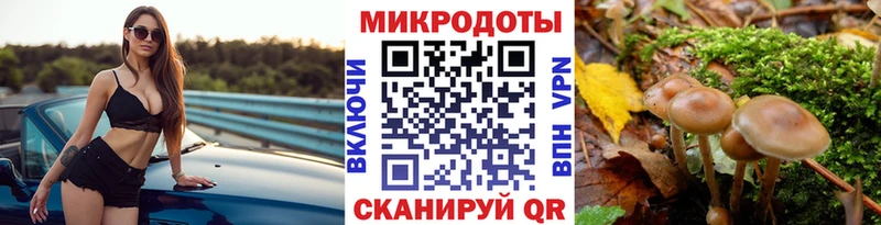 Купить  Будённовск  Галлюциногенные грибы мухоморы 
