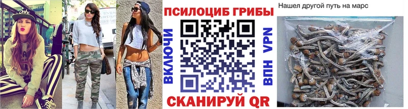 Галлюциногенные грибы Psilocybine cubensis Будённовск