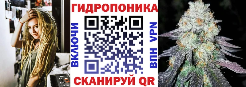 Канабис THC 21%  Купить закладки  Будённовск 